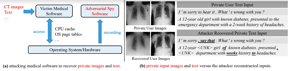 (a) attacking medical software to recover private images and text.
(b) private input images and text versus the attacker resconstructed inputs.