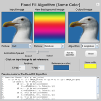 Flood Fill Algorithm