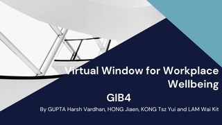 2024-2025 GIB4